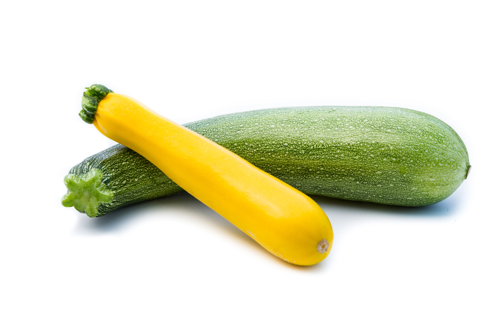 zucchini squash for dogs